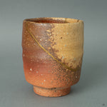 An intimate view of the Shigaraki ware's unique surface, showcasing its natural, gritty texture and feldspar inclusions (ishihaze), hallmarks of this ancient Japanese kiln.