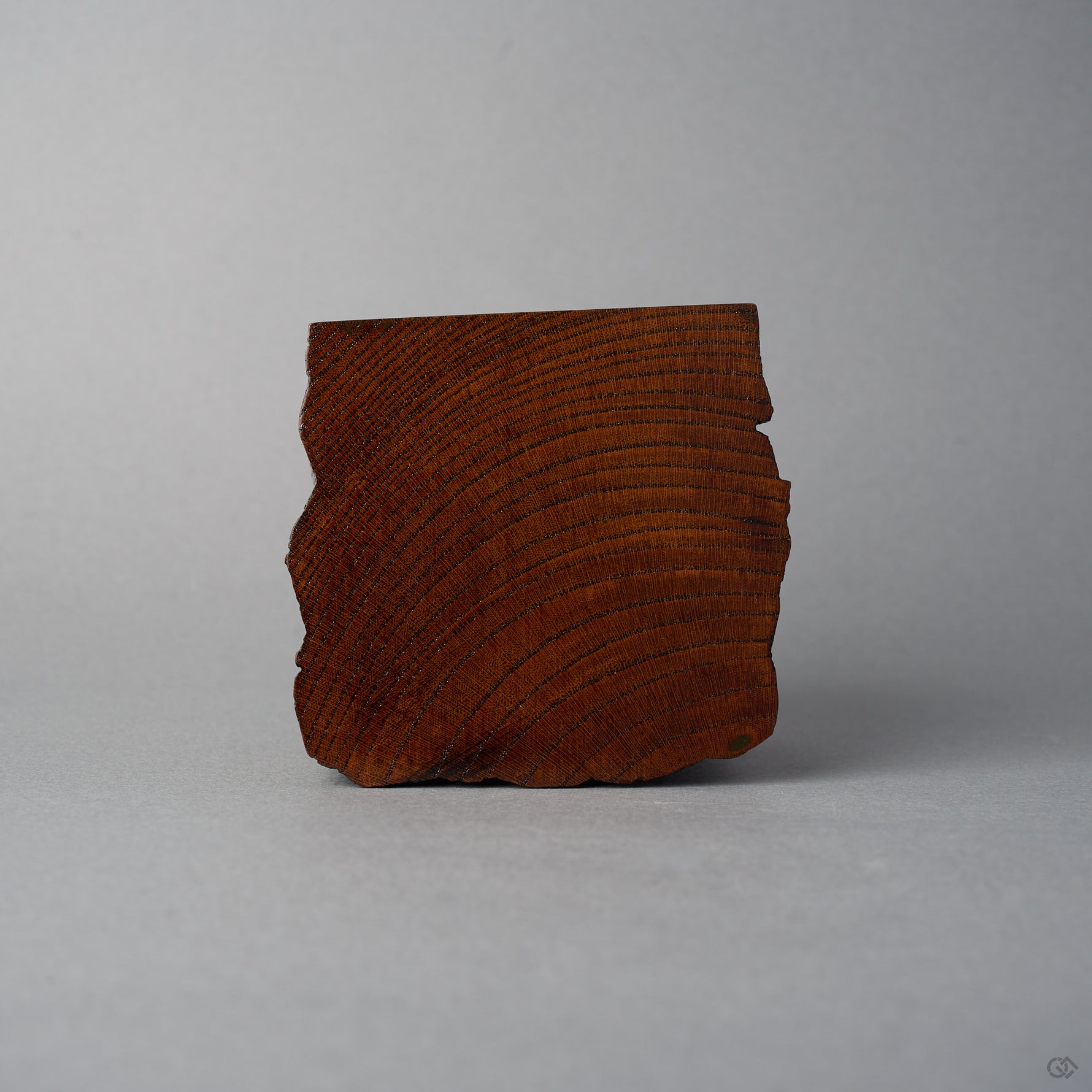Base view of KODAMA Black Roiro, showing the concentric tree-ring end grain of the aged wood.