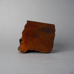 Base view of KODAMA Fuki-urushi, showing the concentric tree-ring end grain of the keyaki wood, marked with a stamped logo.